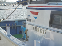 2024年11月12日(火)1 2024年11月12日(火)1