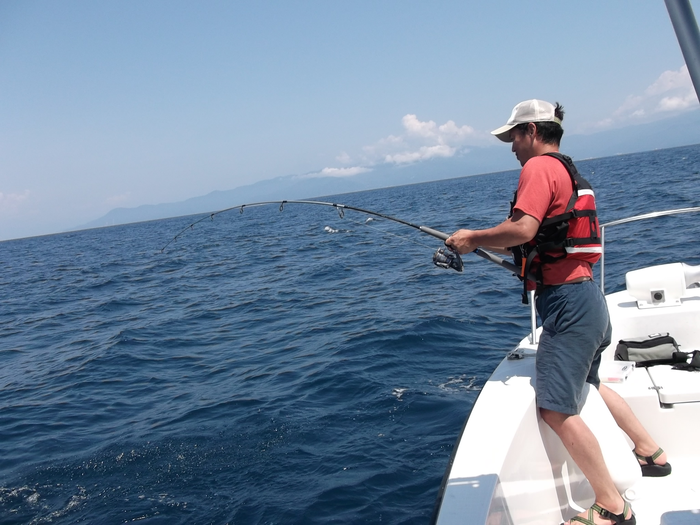 光奏丸スタイル上１