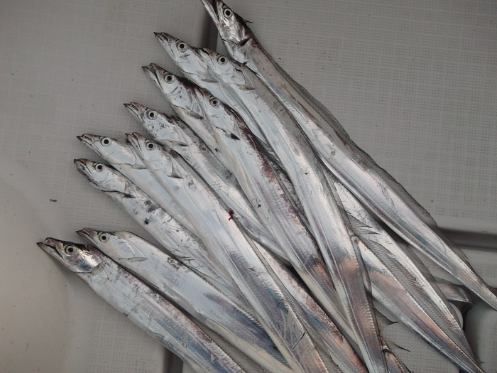 auto_A6yRwR.png auto_A6yRwR.png