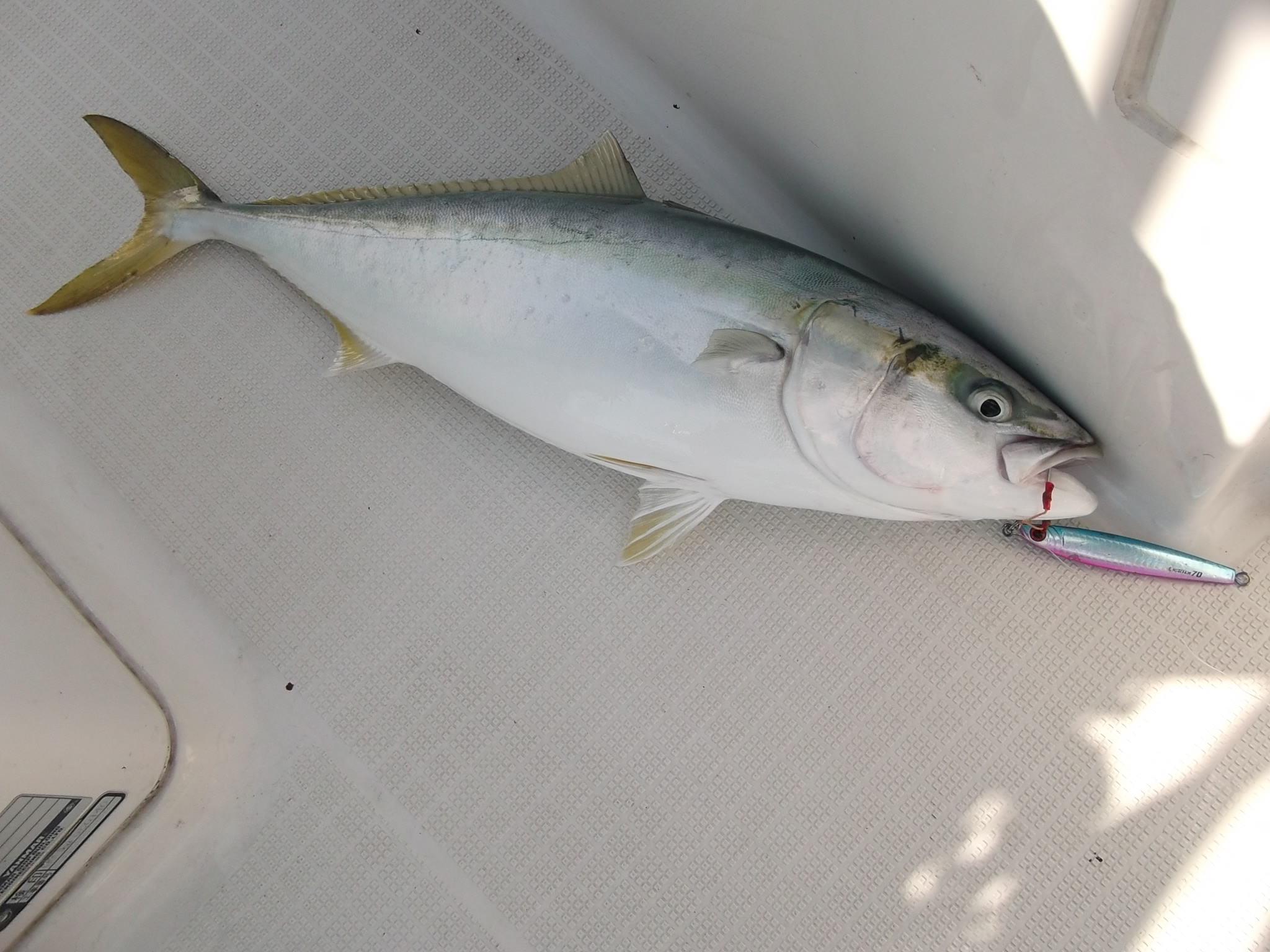 画像の説明 画像の説明