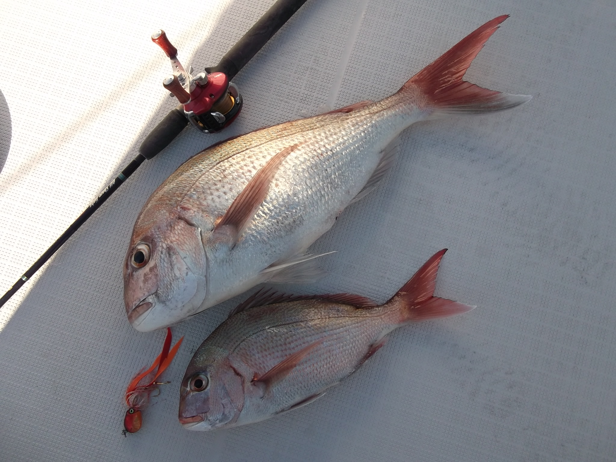 タイラバー タイラバー