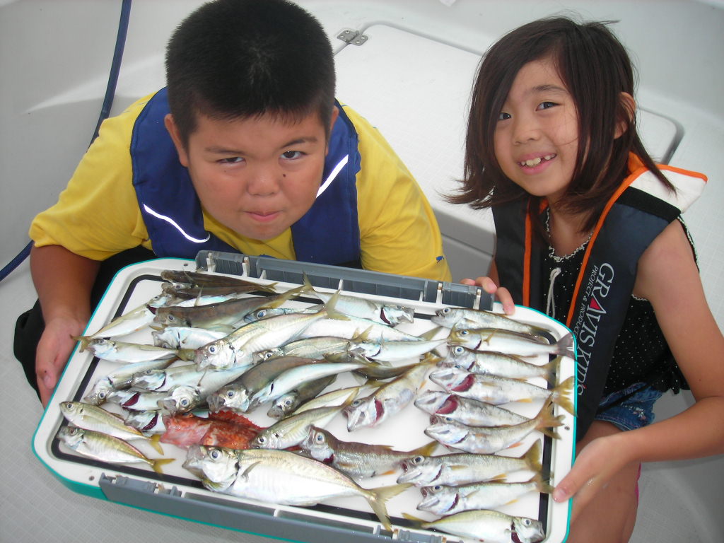 画像の説明 画像の説明